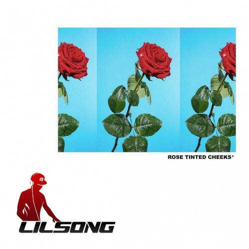 Tyler, The Creator - Rose Tinted Cheeks (Rough Draft)